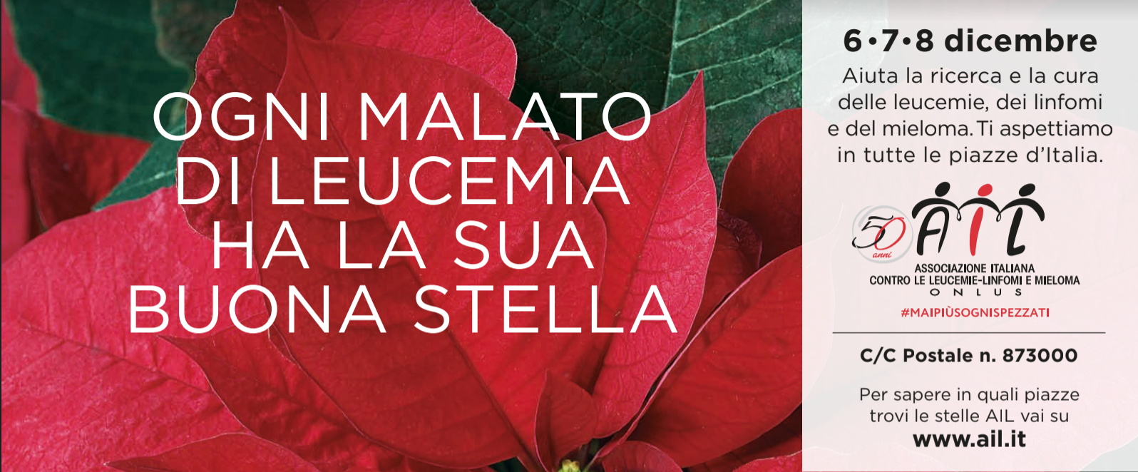 Stella Di Natale Airc.Stelle Di Natale Ail In 4800 Piazze Italiane Telecity News 24