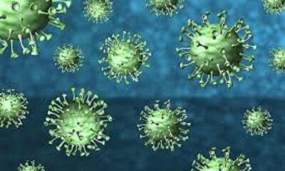 coronavirus liguria