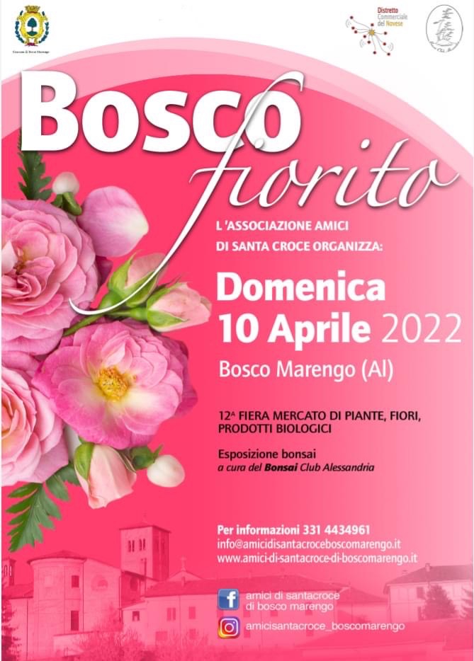 Bosco Fiorito